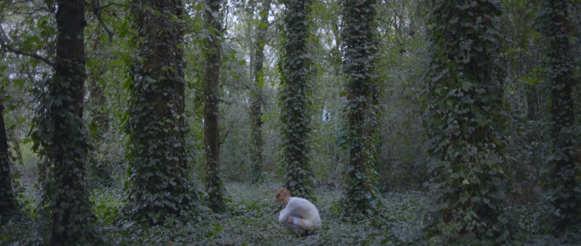 SENSES video by Fran De La Fuente & Alexan Sarikamichian MOD Magazine feature interview
