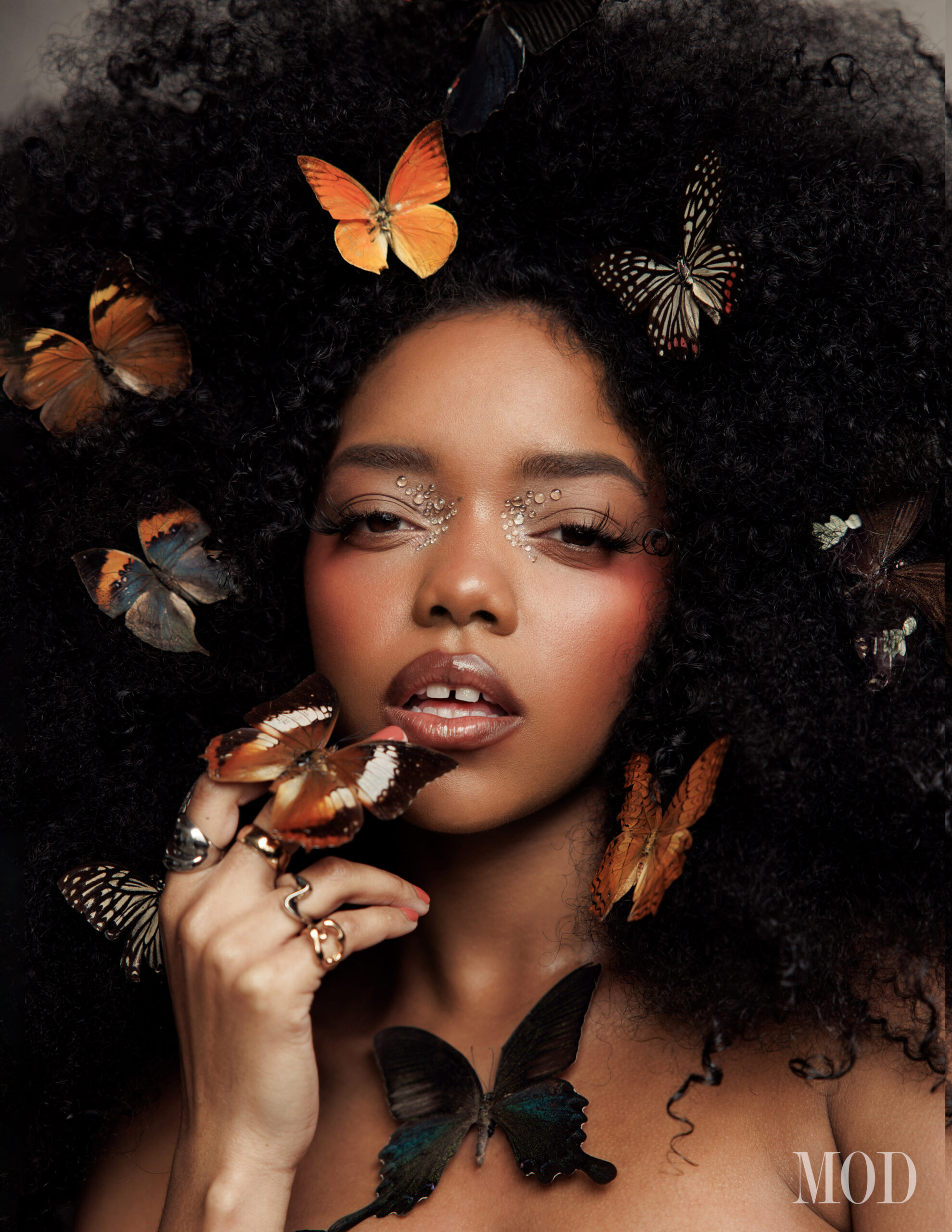 modmagazine-spring-rose