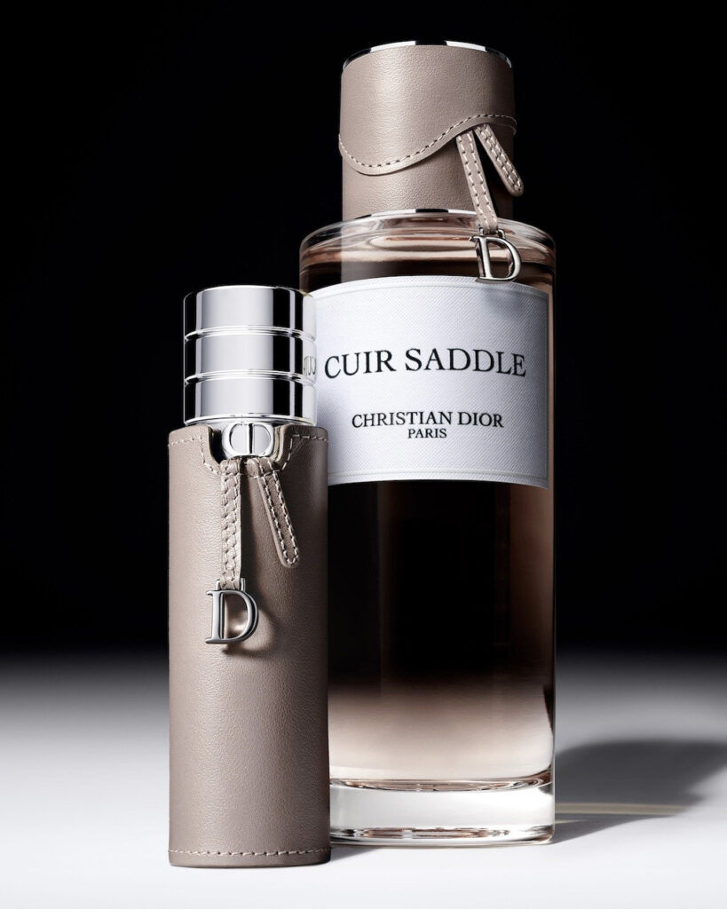 Christian Dior La Collection Privée Cuir Saddle - MOD Magazine