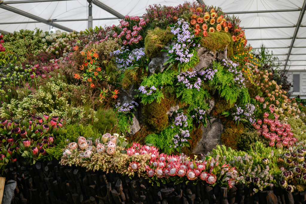 Leon Kluge Wins Gold at the 2026 RHS Chelsea Flower Show