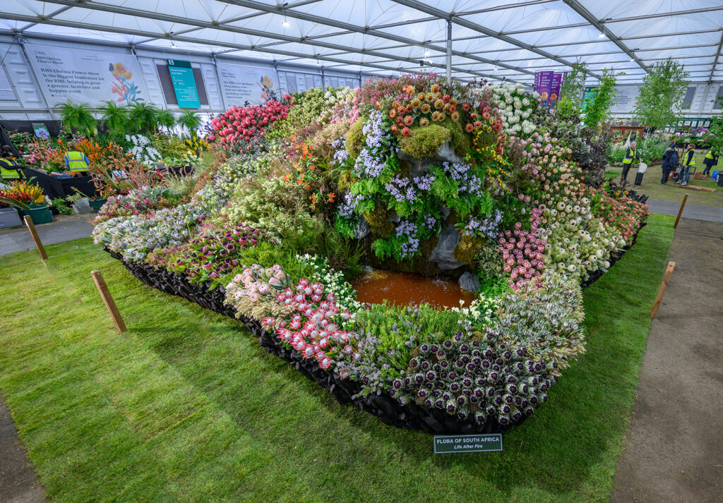 “Life After Fire” exhibition by Leon Kluge Wins Gold and Best in Show
at the 2026 RHS Chelsea Flower Show - MOD Magazine