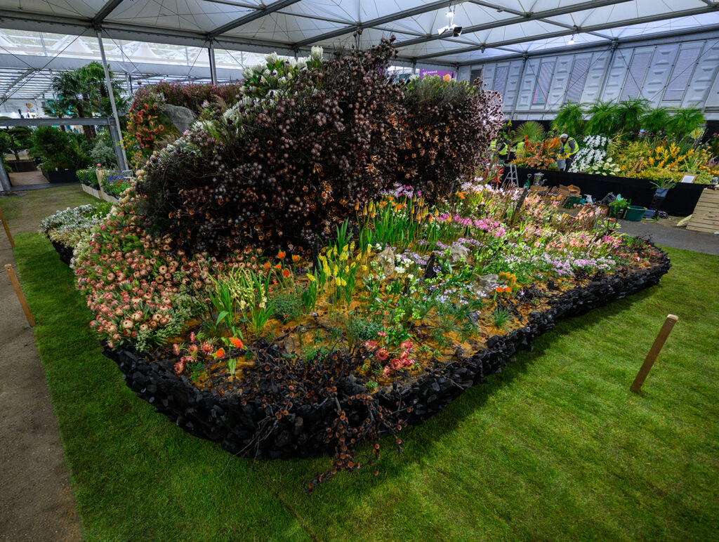 “Life After Fire” exhibition by Leon Kluge Wins Gold and Best in Show
at the 2026 RHS Chelsea Flower Show - MOD Magazine