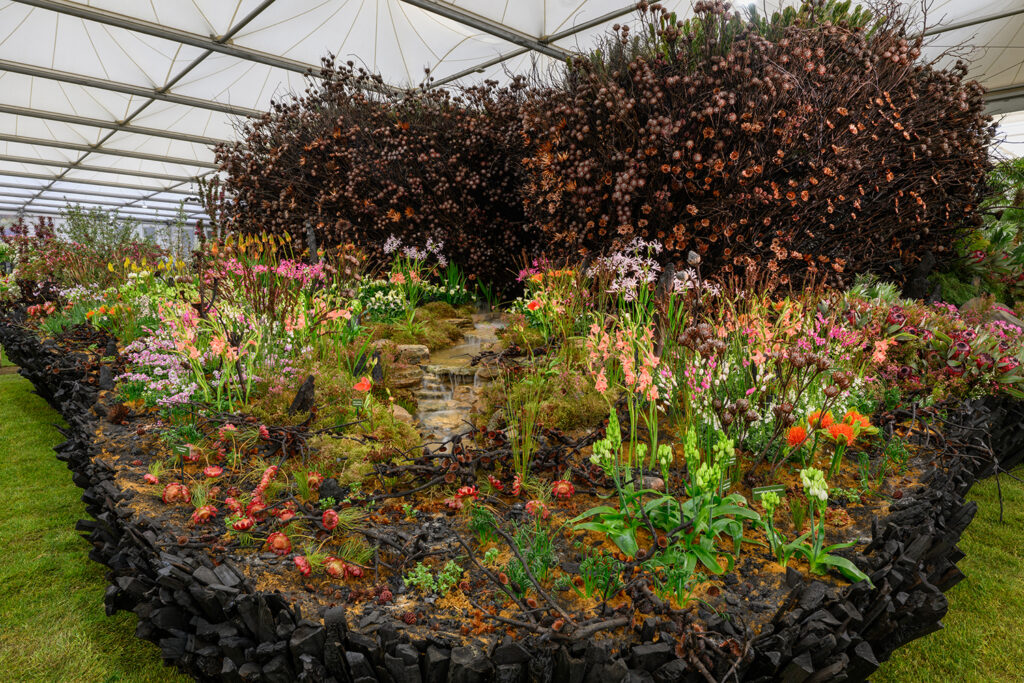 “Life After Fire” exhibition by Leon Kluge Wins Gold and Best in Show
at the 2026 RHS Chelsea Flower Show - MOD Magazine