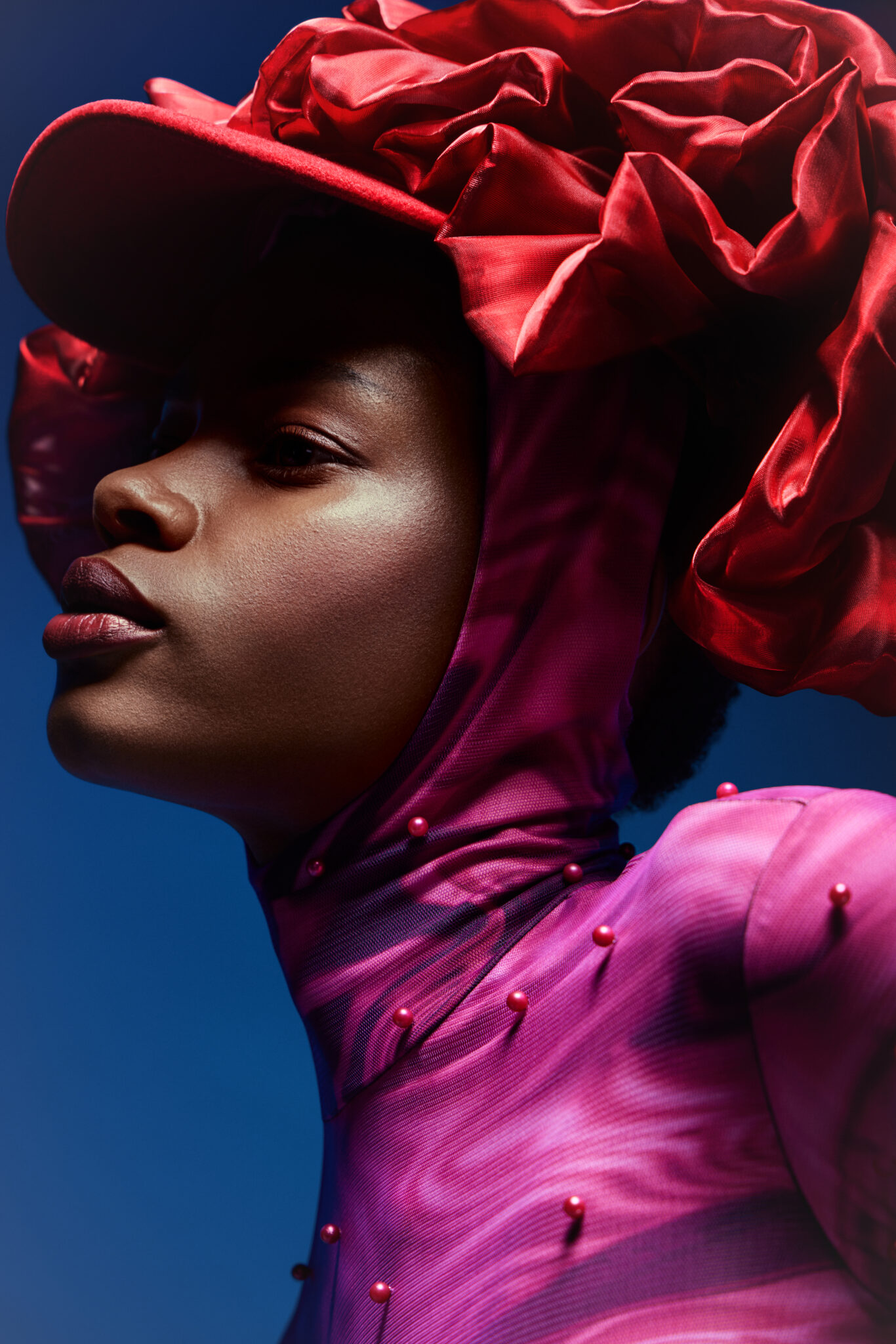 modmagazine-spring-rose